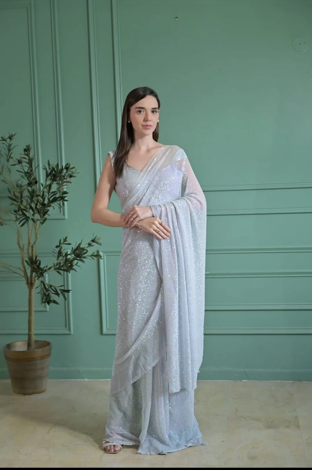 Elegant Silver Saree